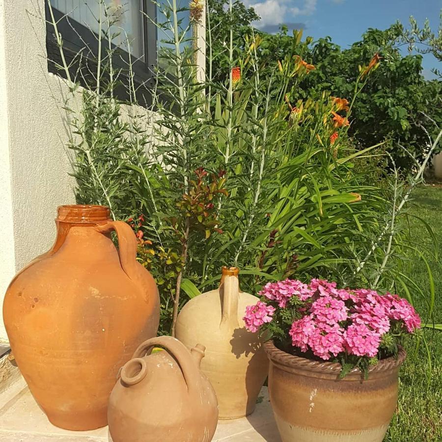 Philoxenia Bed and Breakfast Pourrieres Εξωτερικό φωτογραφία