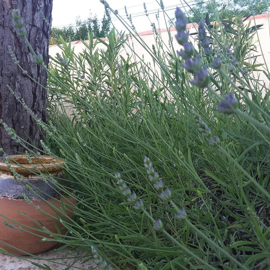 Philoxenia Bed and Breakfast Pourrieres Εξωτερικό φωτογραφία